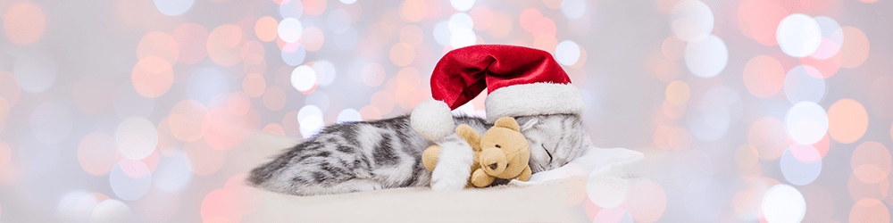C Новым годом и Рождеством! C Новым годом и Рождеством!